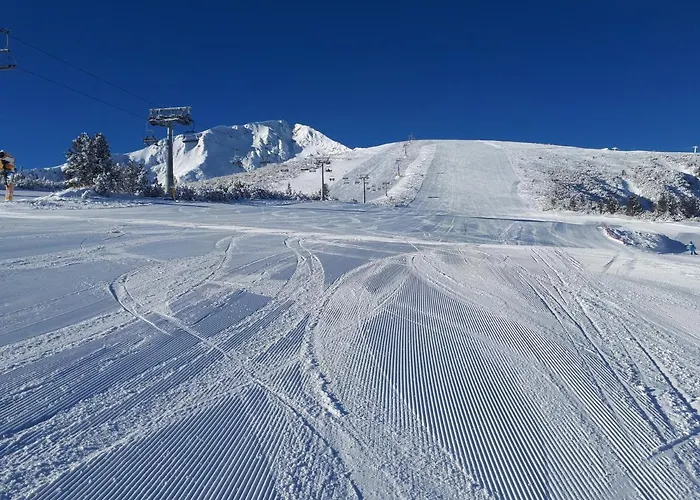 게스트하우스 тодор прегьов