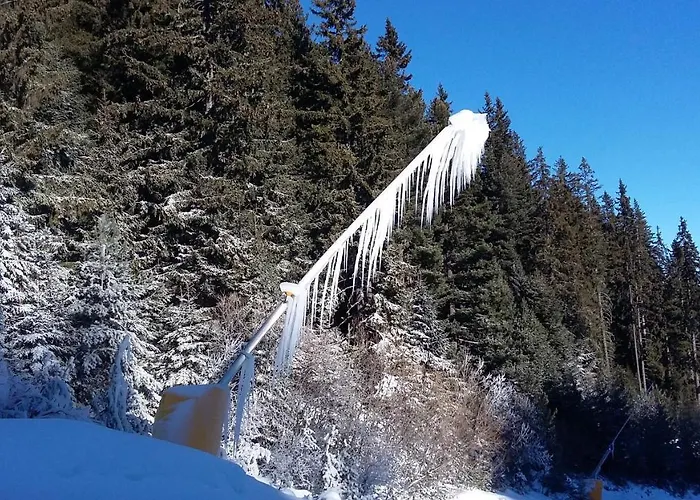 тодор прегьов