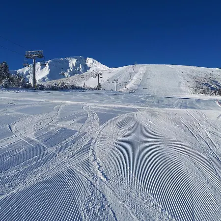 Gasthuis тодор прегьов